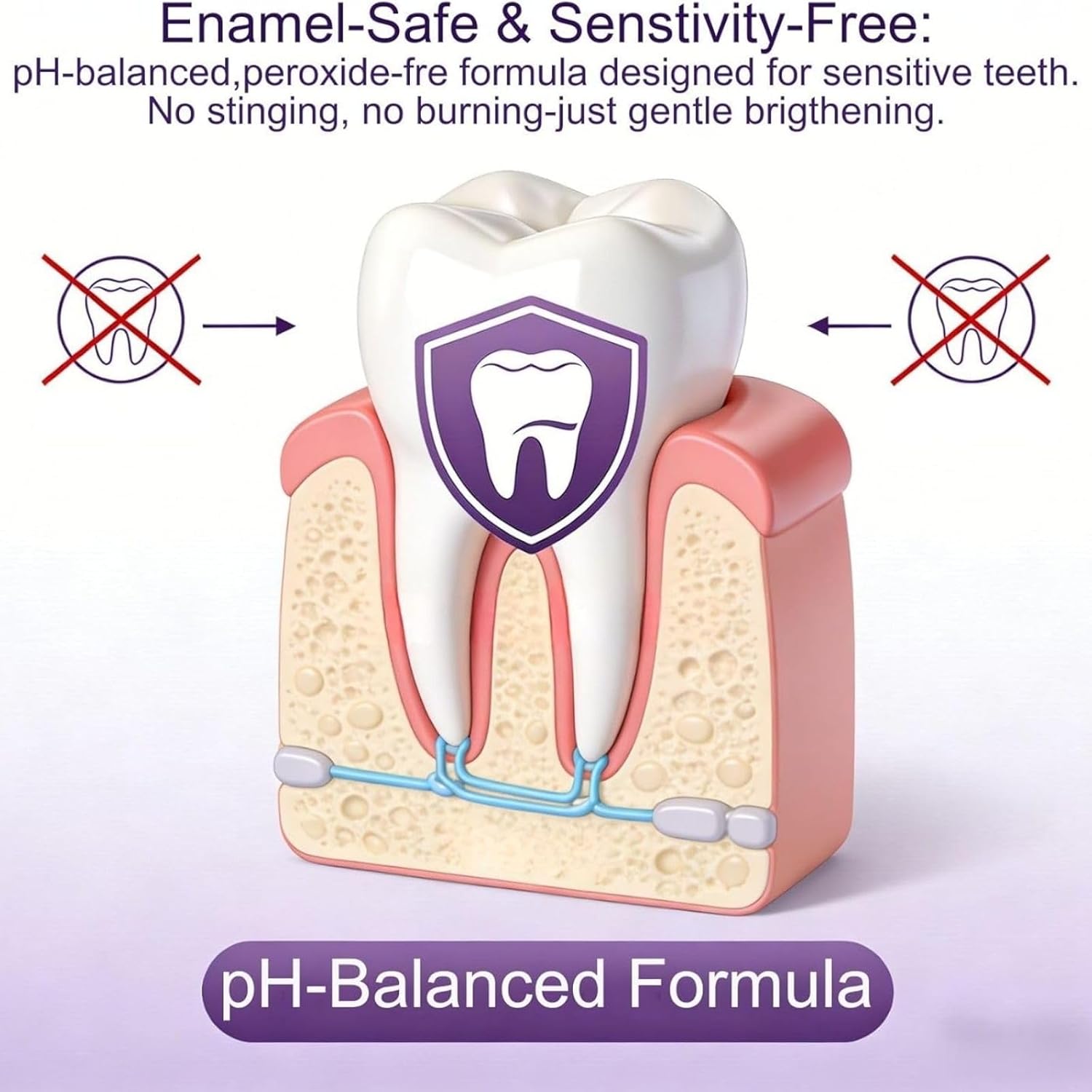 퍼플 치아 미백 콤보 키트 – 얼룩 제거 스트립 & 색 - Teeth Whitening In Office 리뷰 및 가격