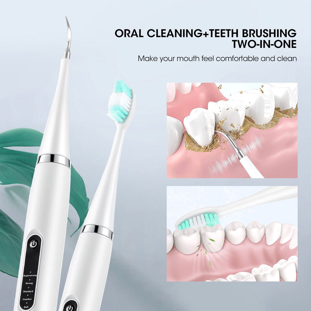 전기 음파 치과 치석 스케일러, 구강 치아 치석 제거기 - Teeth Whitening Home 리뷰 및 가격